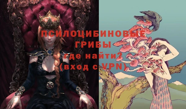 эйфоретик Касимов
