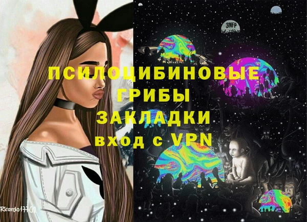 эйфоретик Касимов