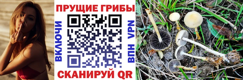 Псилоцибиновые грибы мухоморы  Купить закладки  Белая Калитва 